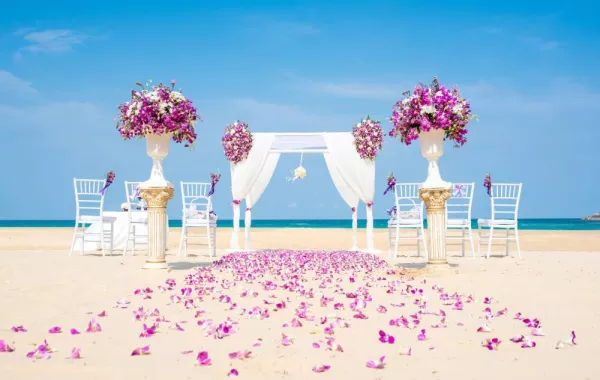 ألوان مناسبة لحفل الزفاف المنظّم في مكان خارجي