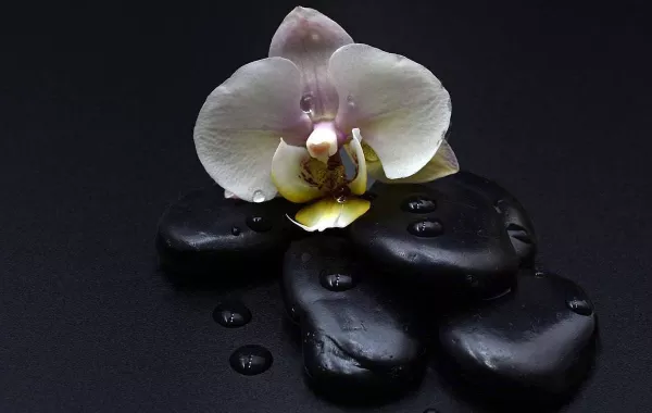 فوائد الموميان للنساء