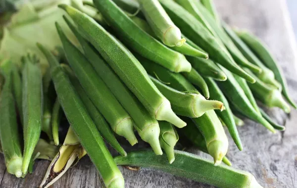 صورة لثمار البامية