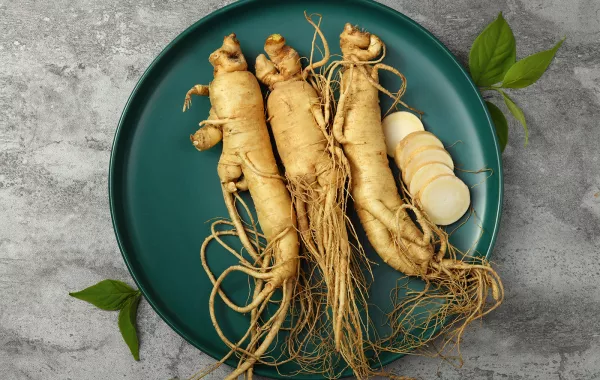 فوائد الجنسنج للحمل