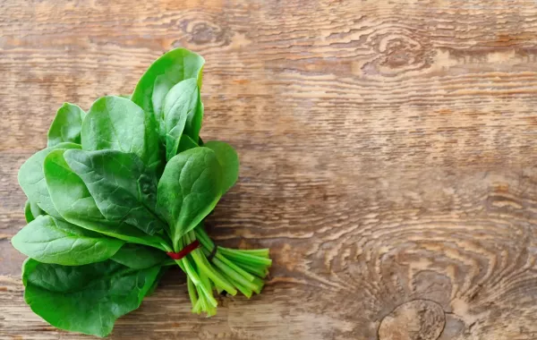 صورة لأوراق السبانخ