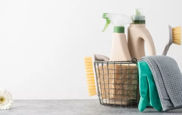 تنظيف المنزل