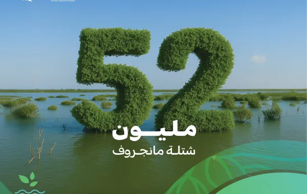 شجر المانجروف