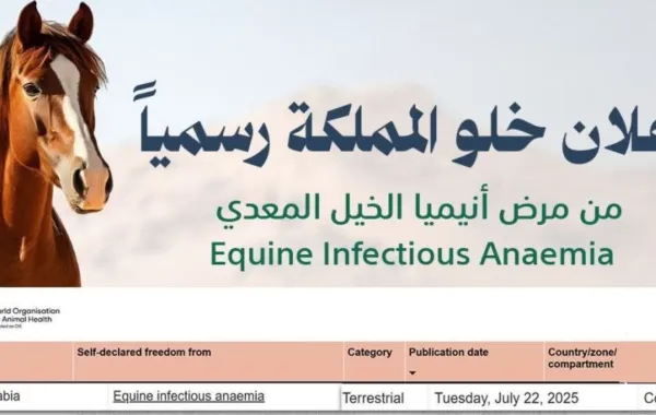 وباء