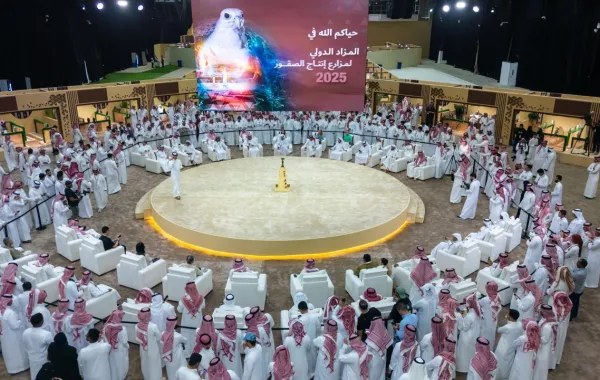 المزاد الدولي لمزارع إنتاج الصقور