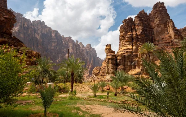 وادي الديسة في منطقة تبوك 