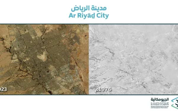 الجيومكانية