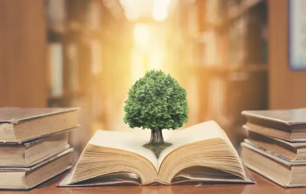 محو الأمية حق أساسي من حقوق الإنسان وهو ما أقرته الأمم المتحدة