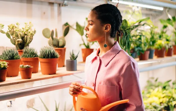 امرأة تهتم بالنباتات- المصدر: pexels-cottonbro-studio 