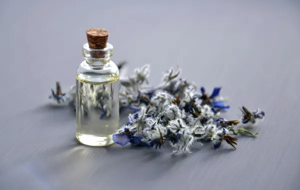 تفسير حلم العطر في المنام