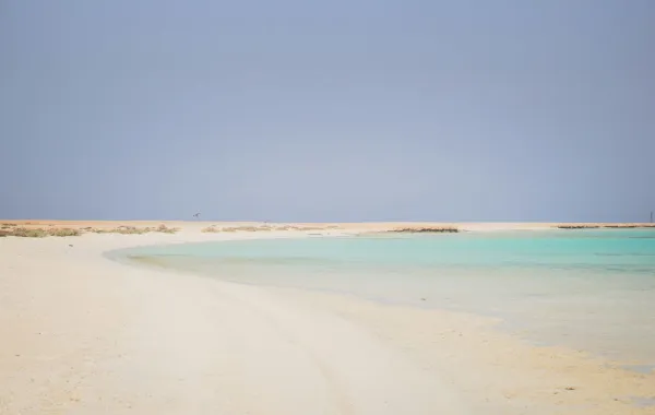 دراسة 