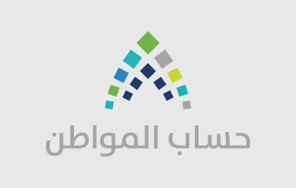 دعم حكومي