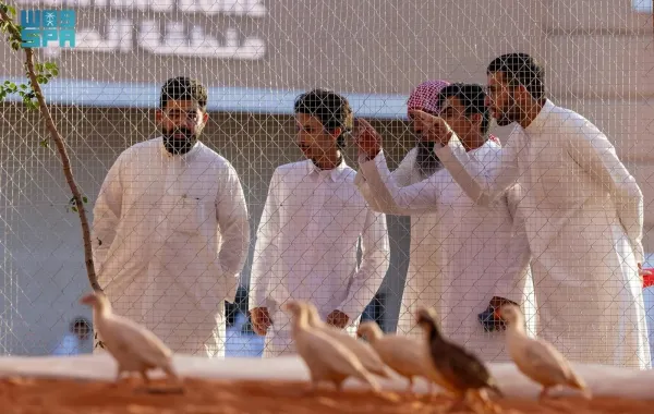 منطقة سفاري بمعرض الصقور والصيد السعودي - الصورة من وكالة الأنباء السعودية "واس"