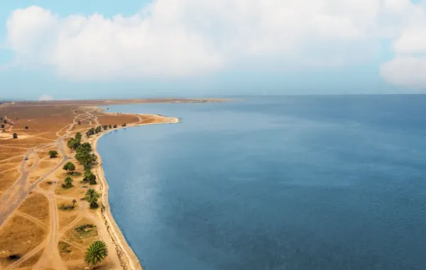 انطلاق مهرجان "رملية" بالسعودية 