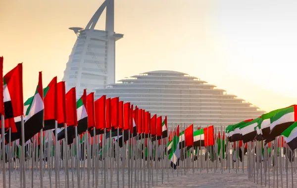 براند دبي يطلق حديقة الأعلام بالتزامن مع احتفالات الشهر الوطني في دبي 