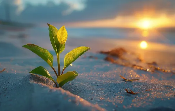 الأمل هو البساط السحري الذي ينقلنا من اللحظة الحالية إلى عالم الاحتمالات اللامتناهية