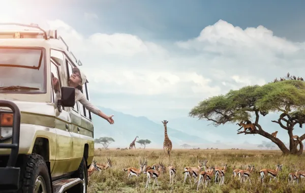 السفاري نشاط مرغوب في تنزانيا