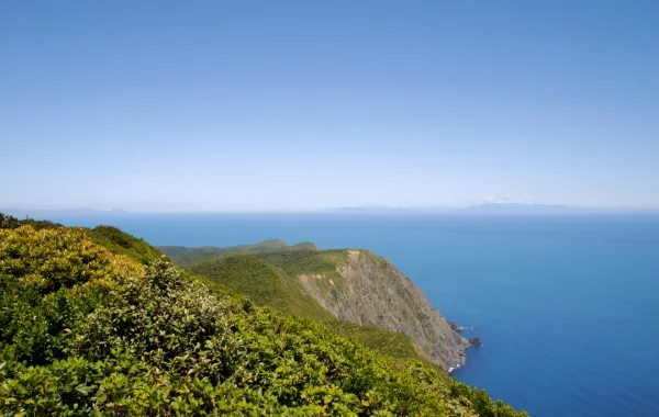 جزيرة كابيتي هي أقدم محمية طبيعية في نيوزيلندا