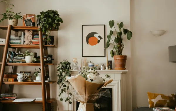تزيين المنزل بالنباتات