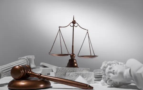 دليل المحامي الشامل