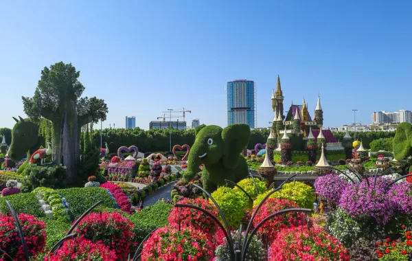 ميراكل جاردن وجهة عائلية جذابة