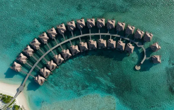  فندق Barceló Whale Lagoon Maldives في جزيرة المالديف - الصورة من مكتب العلاقات العامة للفندق 