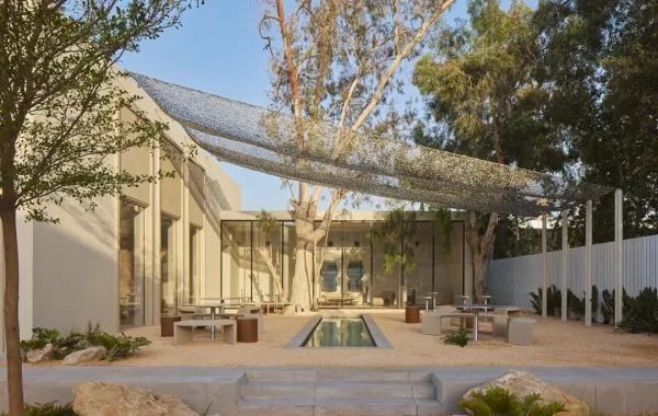 ذا ميلد كونسبت جوهرة ثقافية حديثة