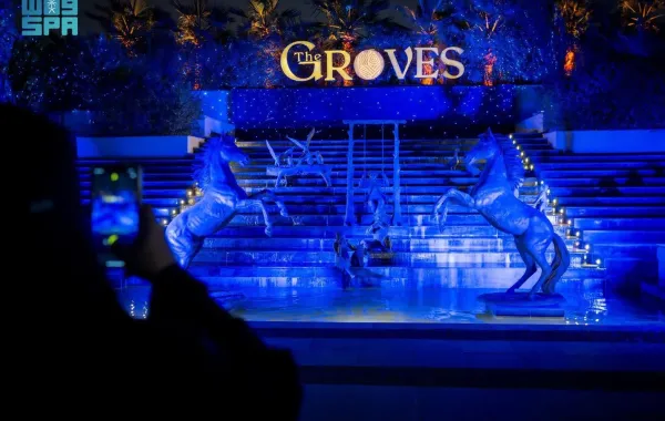 منطقة "ذا جروفز"