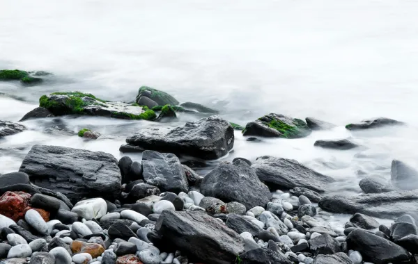 رؤيا الزلط في المنام  - الصورة تعبيرية  