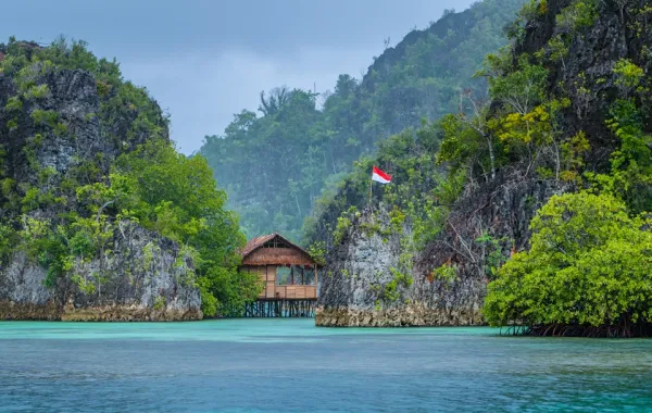راجا أمبات تُعَدُّ من أفضل وجهات الغوص في إندونيسيا