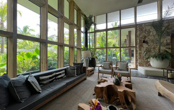 مجلس فخم جذاب بنباتاته