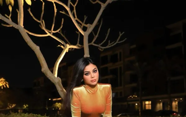 هيفاء وهبي- الصورة من حسابها على إنستغرام