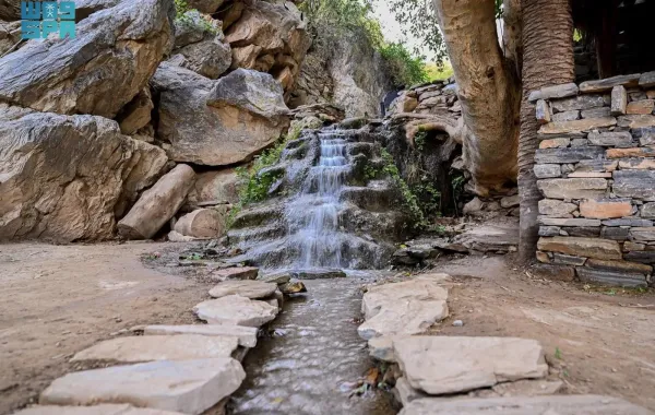 تدفق المياه في قرية ذي عين - الصورة من وكالة الأنباء السعودية "واس"