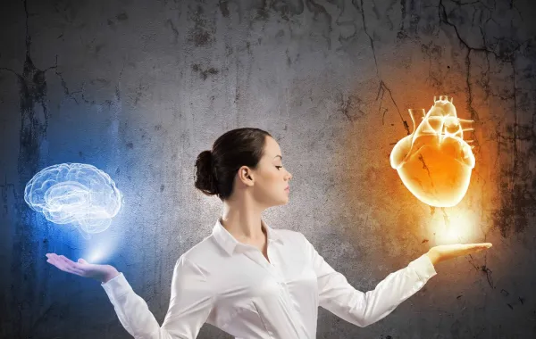 بين العقل والقلب