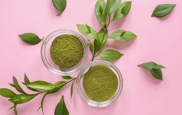 فوائد المورينجا للجسم لا تفوّتي متابعتها- المصدر Freepik