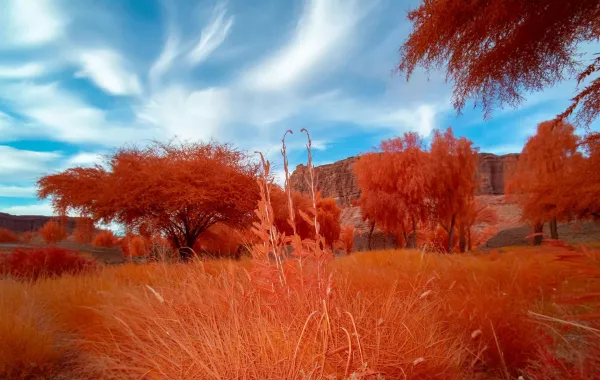 انطلاق معرض أرضُنا فبراير المقبل - الصورة من الموقع الرسمي لاستكشف العلا