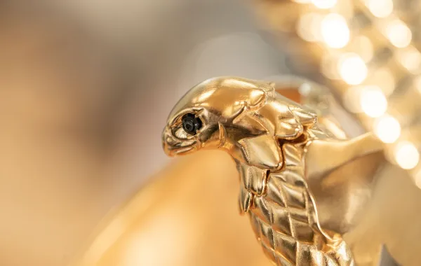 جائزة صنّاع الترفيهJoy awards بتوقيع شوبارد