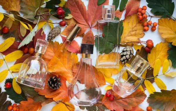  دليلك لعطر يناسب كل موسم