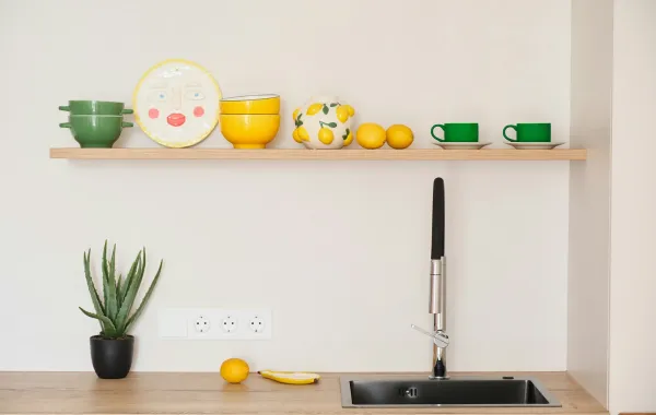 مطبخ مودرن يتزين بنبات الألوفيرا