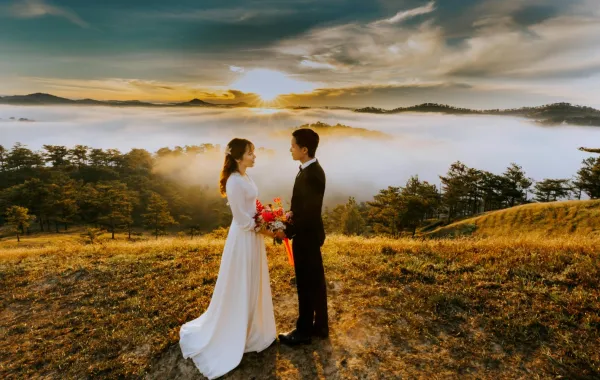 تفسير حلم العرس في المنام