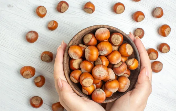 فوائد أكل الكستناء أبوفروة- المصدر Freepik