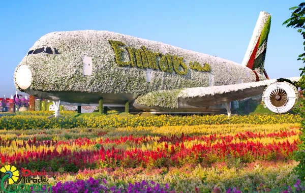 دبي ميراكل جاردن 