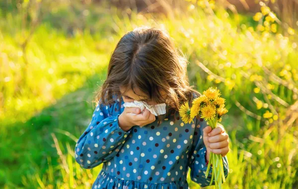 صورة الحساسية الموسمية