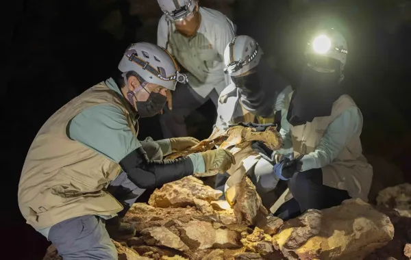 اكتشاف 7 فهود محنطة داخل كهوف في السعودية - الصورة من وكالة الأنباء السعودية "واس"