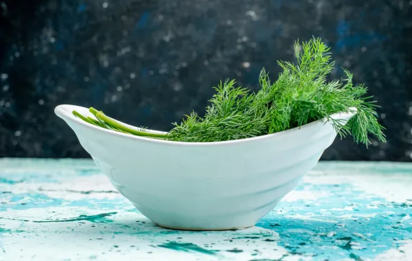 فوائد الشبت - المصدر  freepik by KamranAydinov