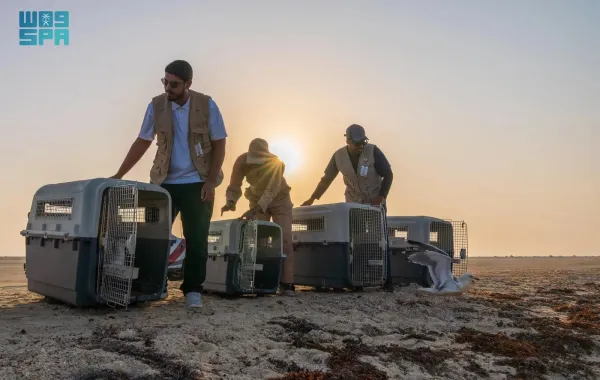 إطلاق 63  طائرًا بحريًا في كورنيش جدة -  الصورة من وكالة الأنباء السعودية "واس"