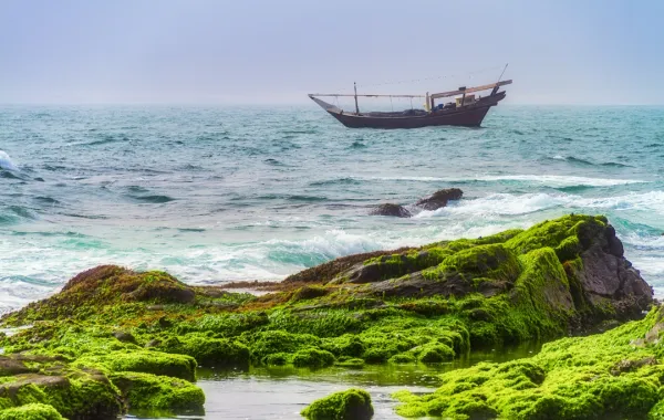 صلالة تجمع بين جمال الطبيعة وثراء الثقافة والتاريخ