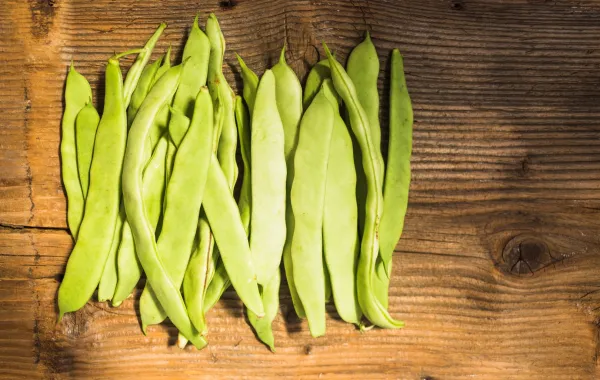 فوائد اللوبيا الخضراء لا تفوّتيها- المصدر Image By Freepik