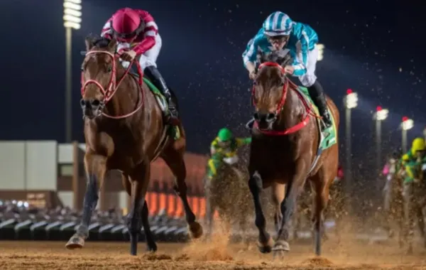 كأس السعودية 2026