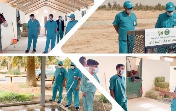 كأس السعودية